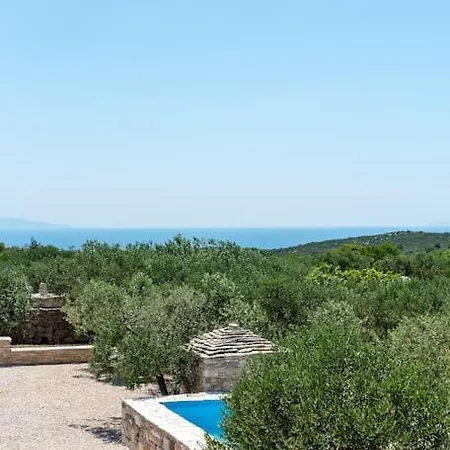 Trapula Stone Paradise