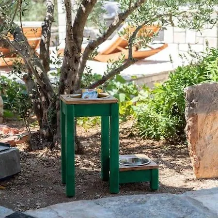 Tatil Evi Trapula Stone Paradise
