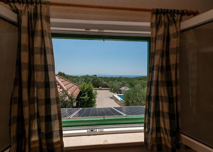 Trapula Stone Paradise *