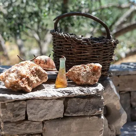 Trapula Stone Paradise * 마슬리니카