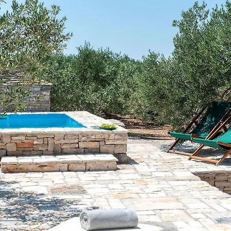 Trapula Stone Paradise